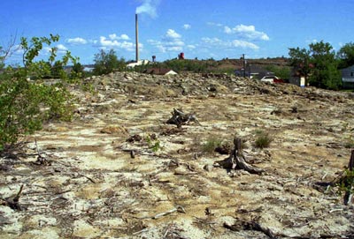Knight 2 area in 2000 with crushed limestone on the rocky and barren ground