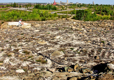 Phantom North area in 2009 with barren ground