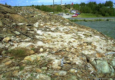 Pizza area in 2001 showing limestone on the rocky and barren ground